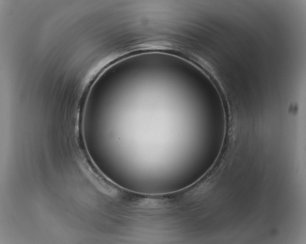 X0000112461179200908241251