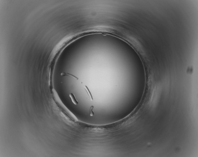 X0000112461180200908241251