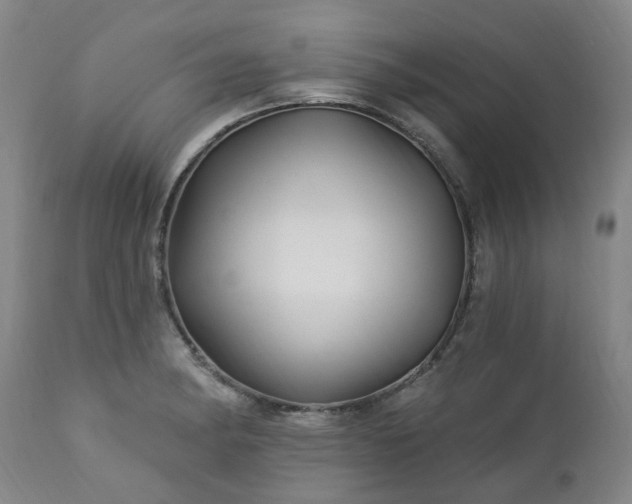 X0000112461182200908241251