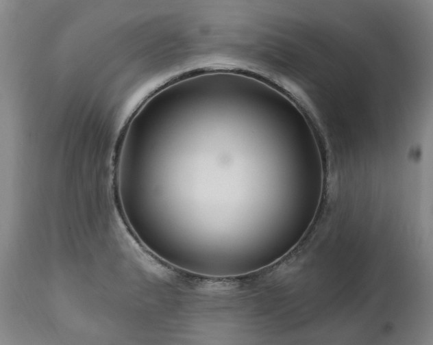 X0000112461183200908241251