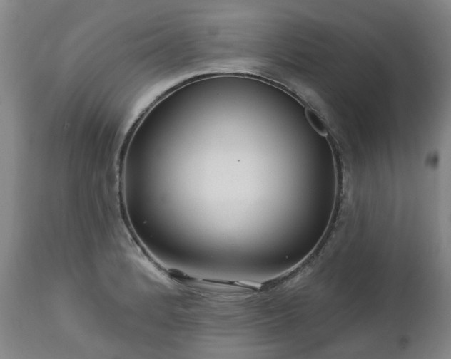 X0000112461184200908241251