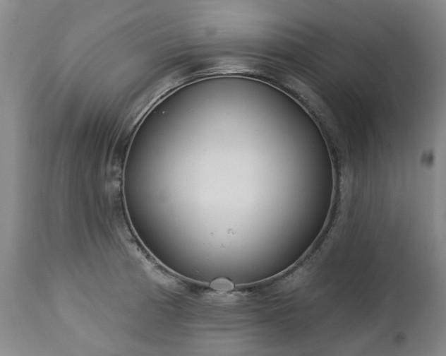 X0000112461185200908241251