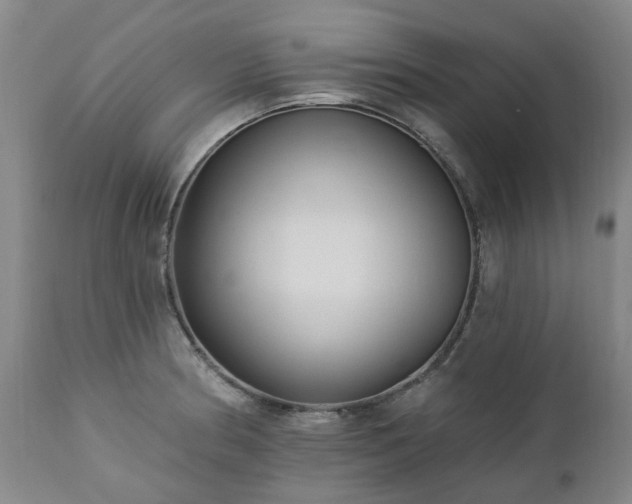 X0000112461186200908241251