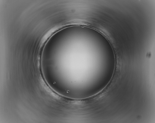 X0000112461188200908241251