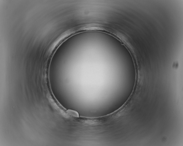 X0000112461189200908241251