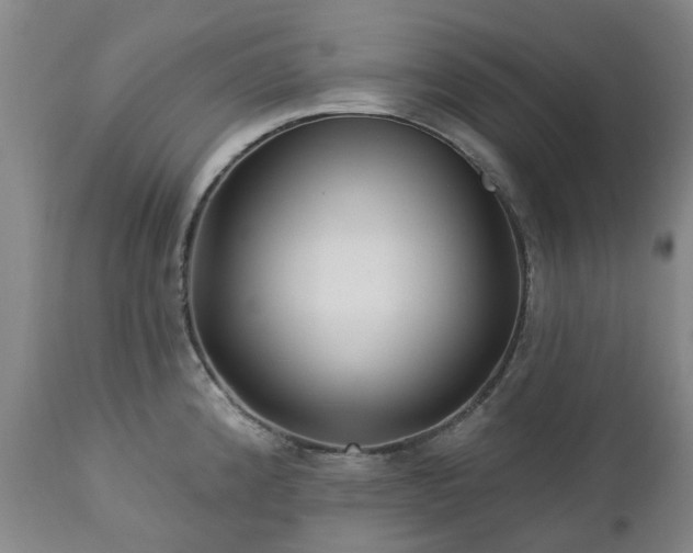 X0000112461192200908241251