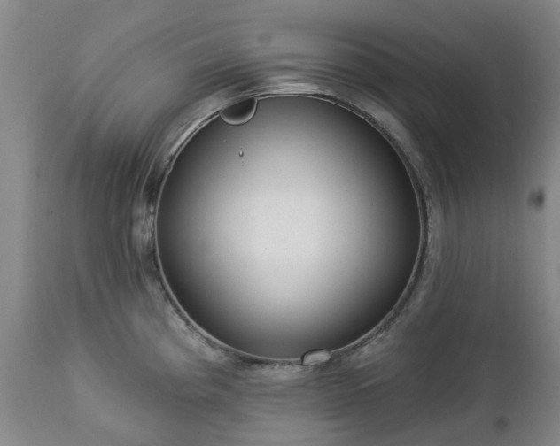 X0000112461193200908241251