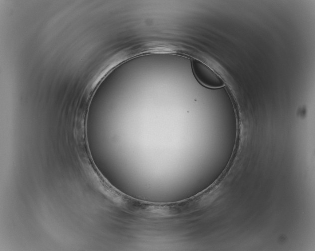 X0000112461194200908241251