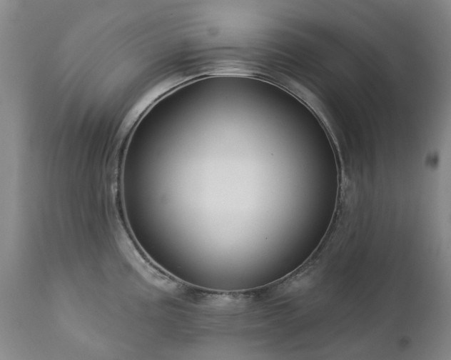 X0000112461195200908241251