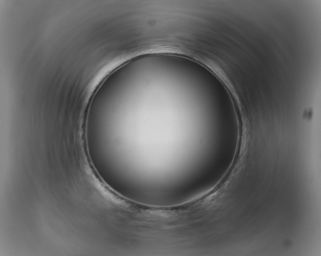 X0000112461197200908241251