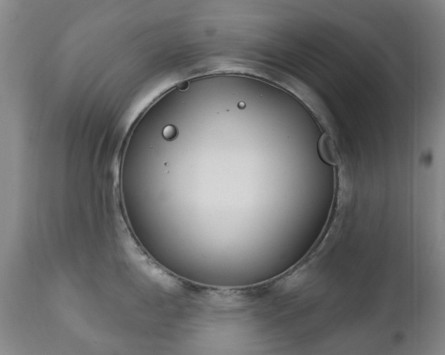 X0000112461198200908241251