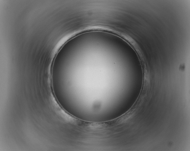 X0000112461199200908241251