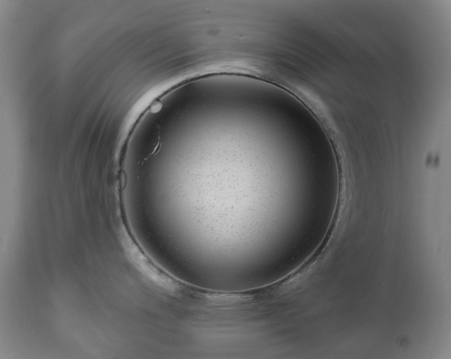 X0000112461200200908241251