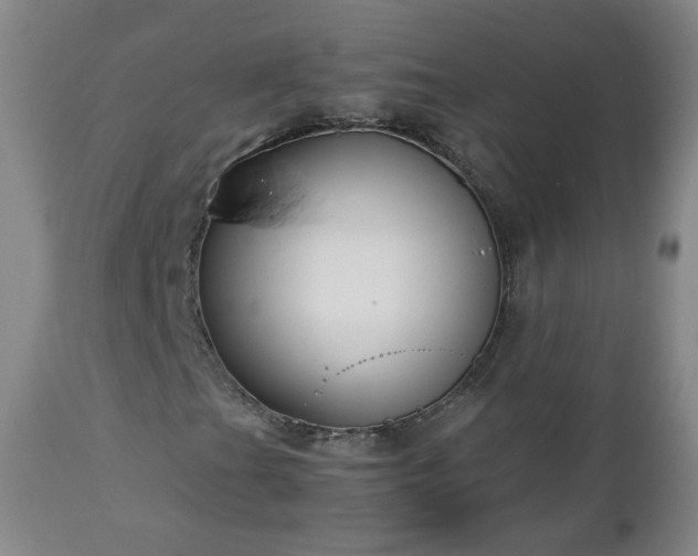 X0000112461201200908241250