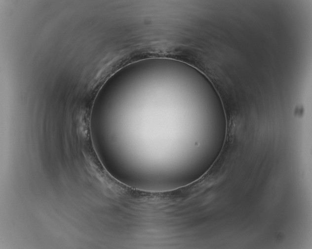 X0000112461202200908241250