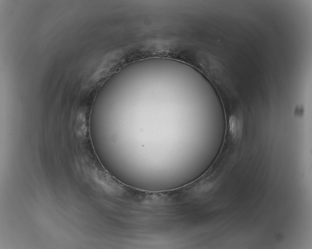 X0000112461203200908241250