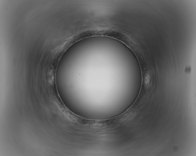 X0000112461204200908241250