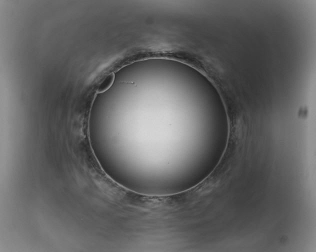 X0000112461205200908241250