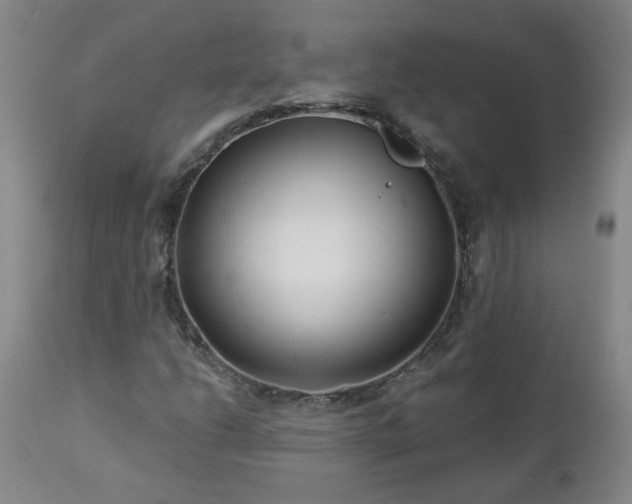 X0000112461206200908241250