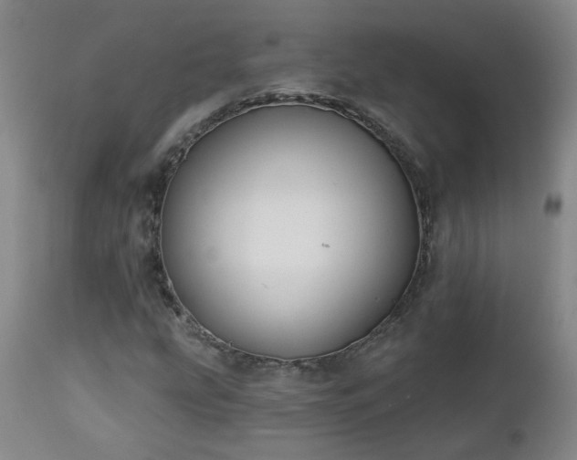 X0000112461207200908241250