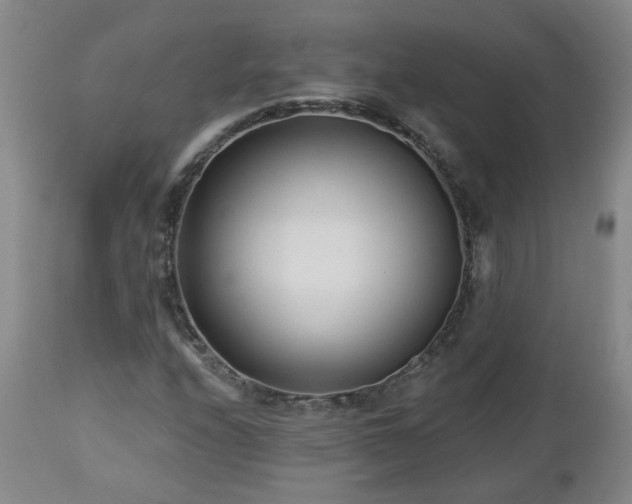 X0000112461208200908241250