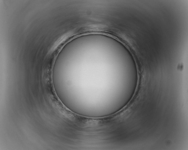 X0000112461211200908241250