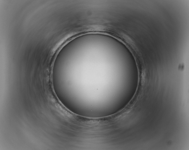 X0000112461212200908241250