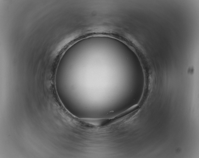 X0000112461213200908241250