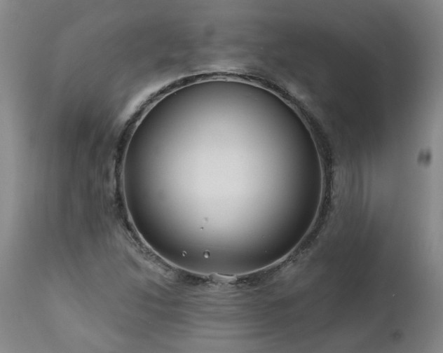 X0000112461214200908241250