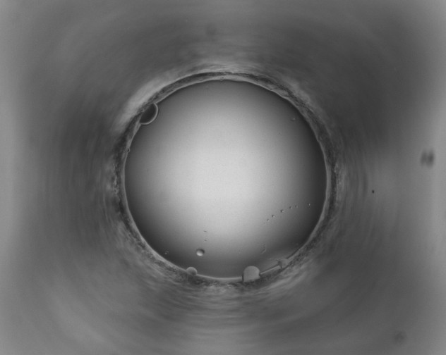 X0000112461215200908241250