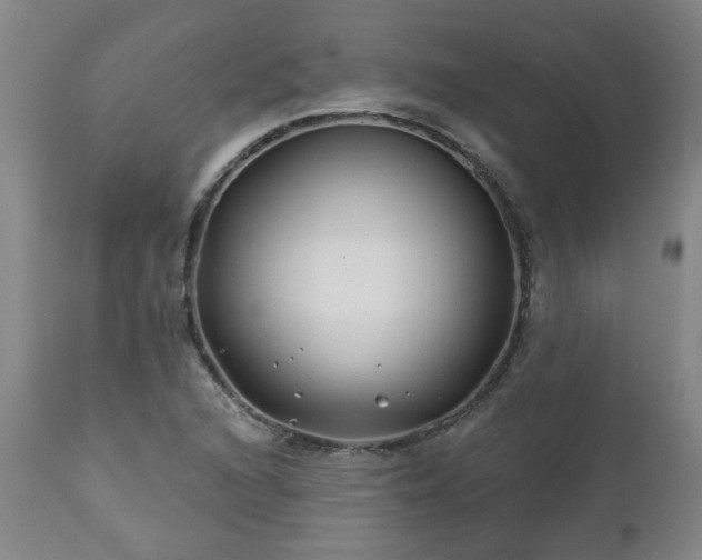 X0000112461216200908241250