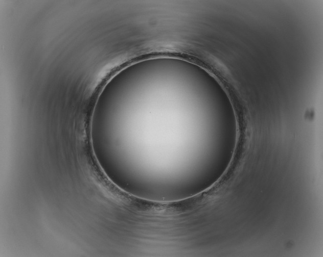 X0000112461218200908241250