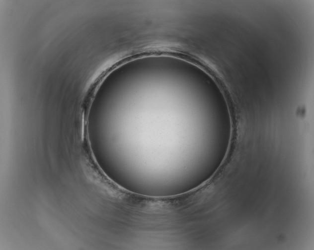 X0000112461219200908241250