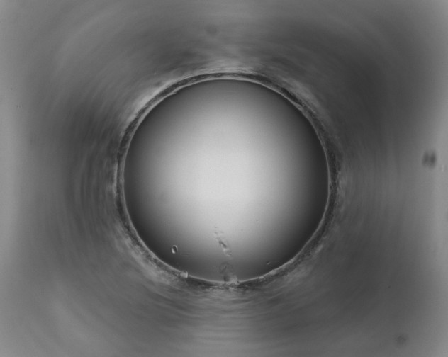 X0000112461220200908241250