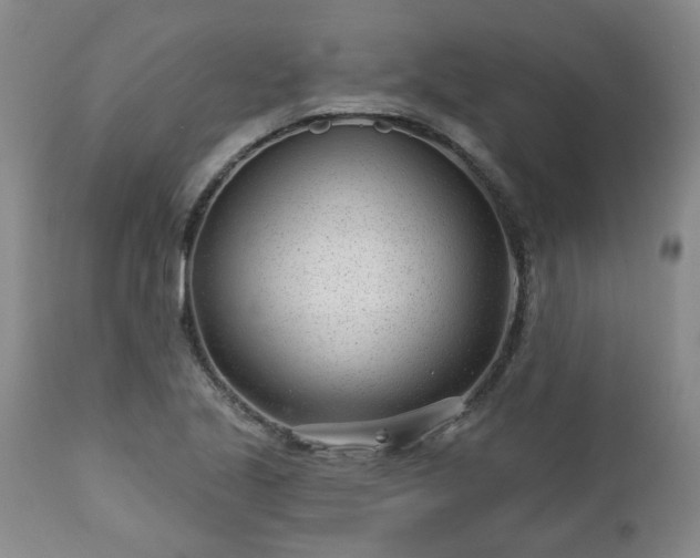 X0000112461221200908241250