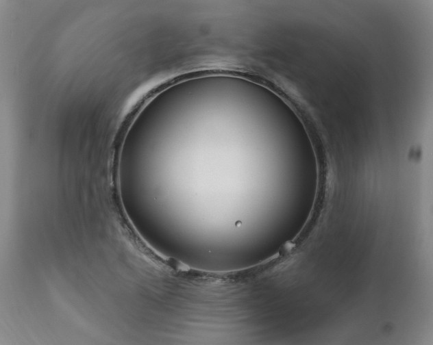 X0000112461222200908241250