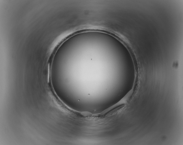 X0000112461223200908241250