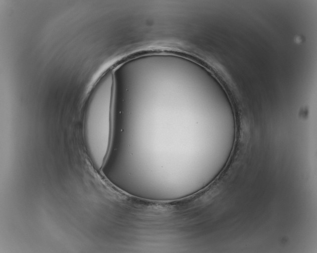 X0000112461224200908241250