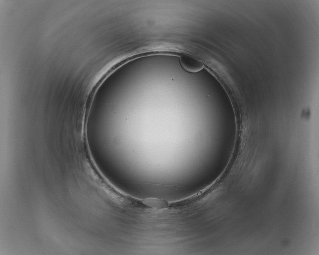 X0000112461228200908241250