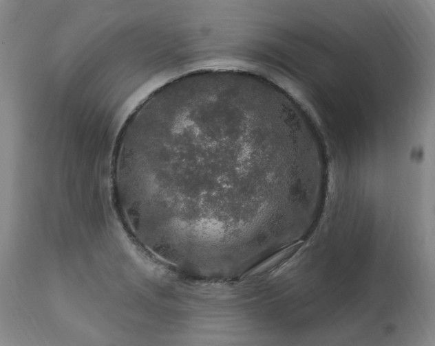 X0000112461229200908241250