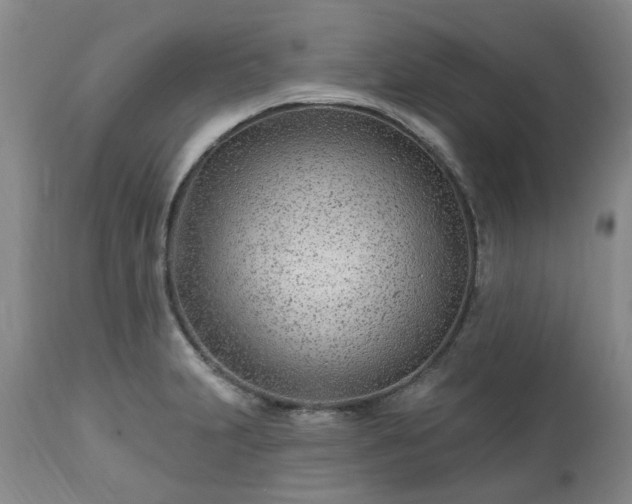 X0000112461231200908241250