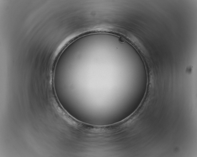 X0000112461232200908241250