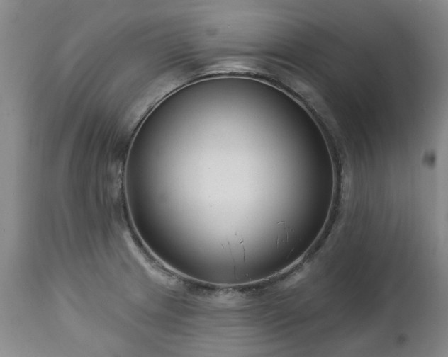 X0000112461233200908241250