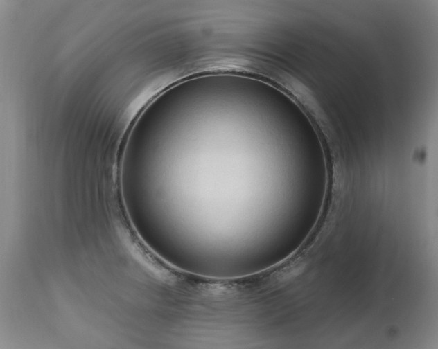 X0000112461234200908241250