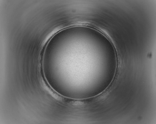 X0000112461235200908241250