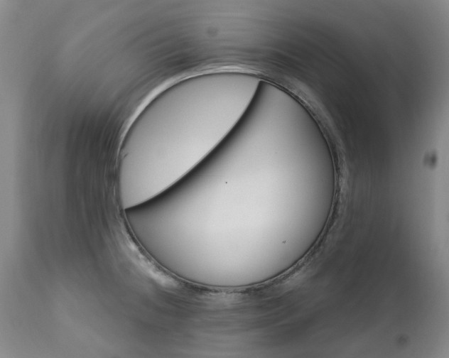 X0000112461236200908241250