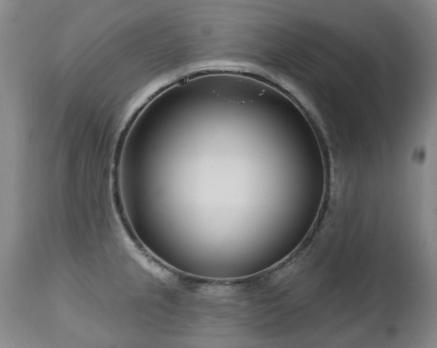 X0000112461237200908241251