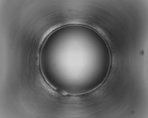 X0000112461238200908241251