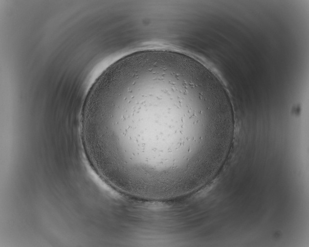 X0000112461239200908241251