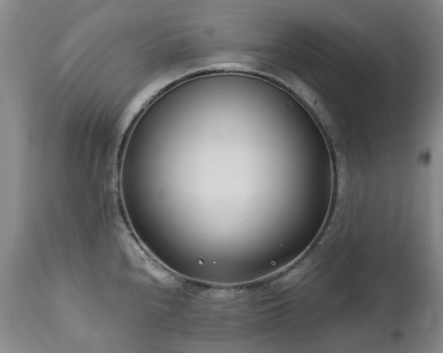 X0000112461240200908241251